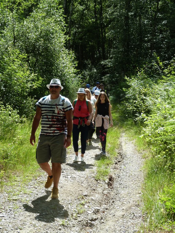 Le groupe tuba  sous le soleil